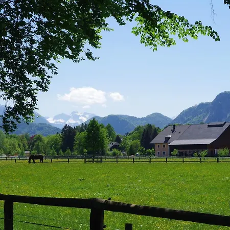 Sishaus - View At Mozarts *