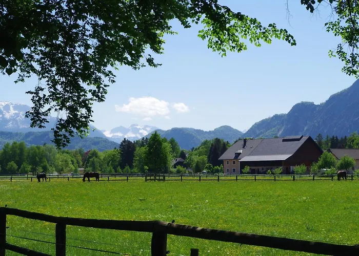 Sishaus - View At Mozarts *