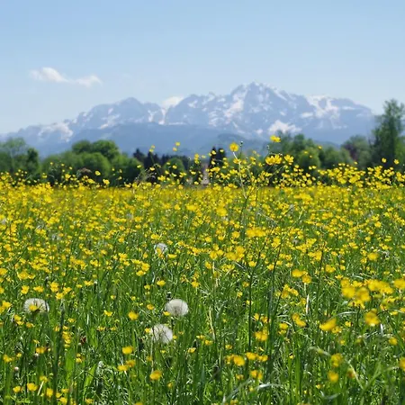 Sishaus - View At Mozarts سالزبورغ