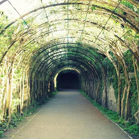 Sishaus - View At Mozarts Solnohrad