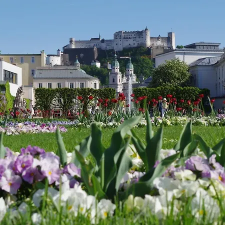 Sishaus - View At Mozarts