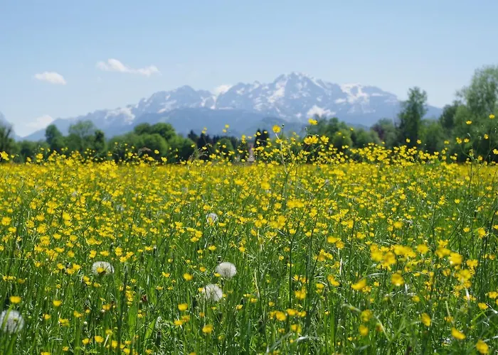 Sishaus - View At Mozarts Solnohrad